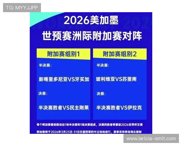 2026年世界杯各参赛国家队详细名单及晋级情况介绍